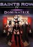 Обложка Saints Row: 4 - Enter The Dominatrix
