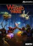 Обложка Magicka: Wizard Wars