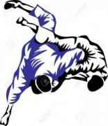 Логотип 3D Judo Fighting