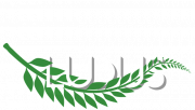 Логотип Ludus