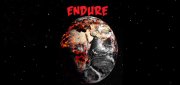 Логотип Endure