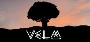 Логотип VeLM