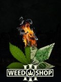 Обложка Weed Shop 3