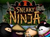 Обложка Sneaky Ninja