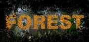 Логотип Forest